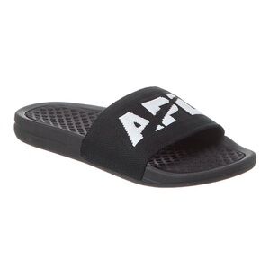 APL Big Logo Techloom Slides